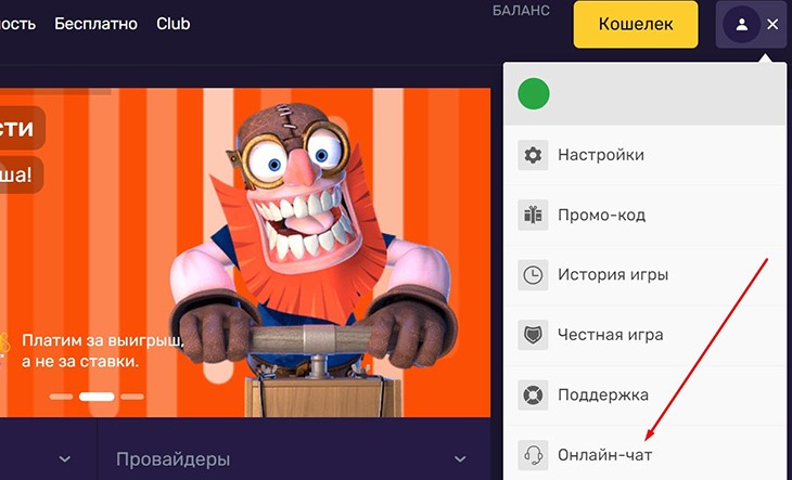 Чат поддержки